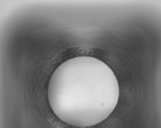 X0000059820769200510281731