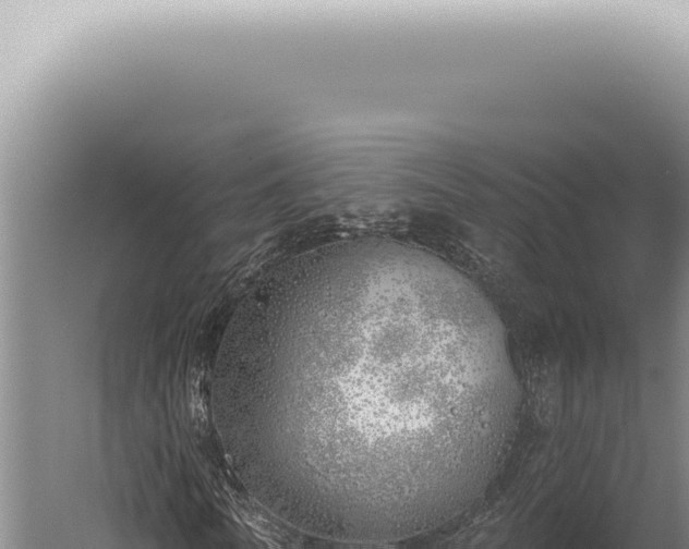 X0000059820770200510281730