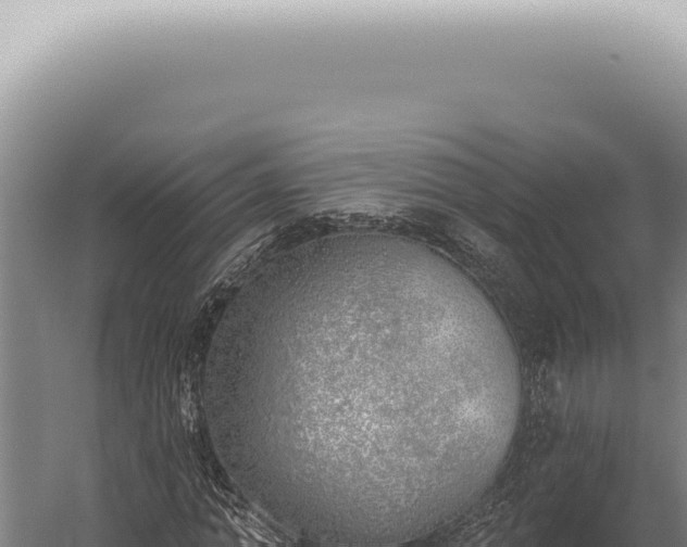 X0000059820774200510281730