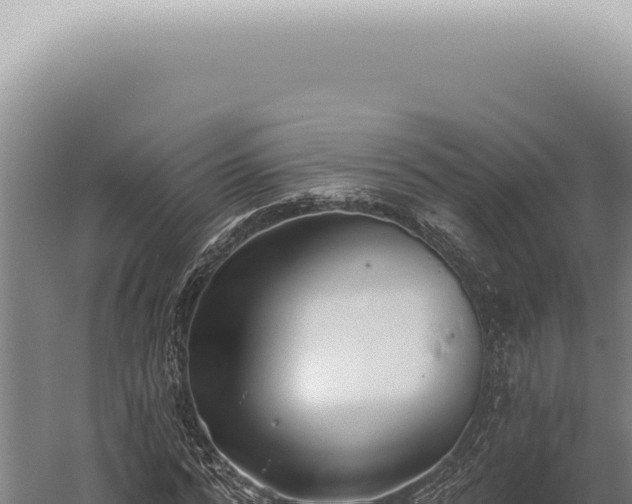 X0000059820776200510281730