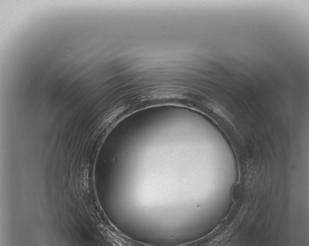 X0000059820777200510281730