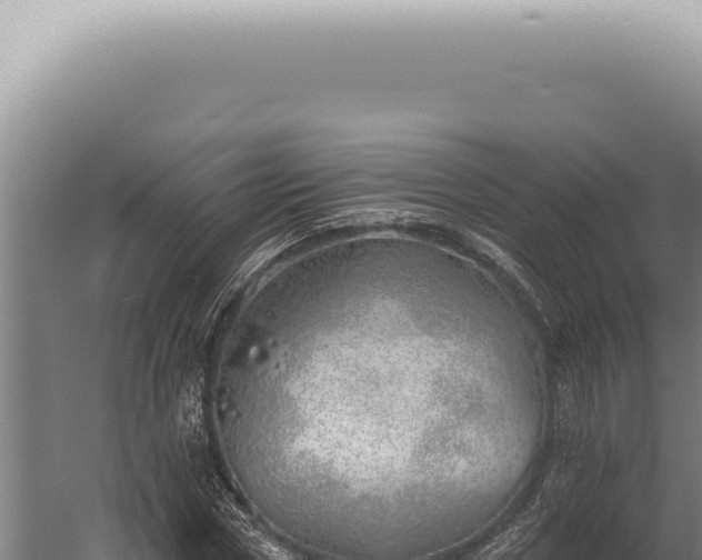 X0000059820778200510281730