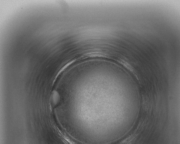 X0000059820782200510281730