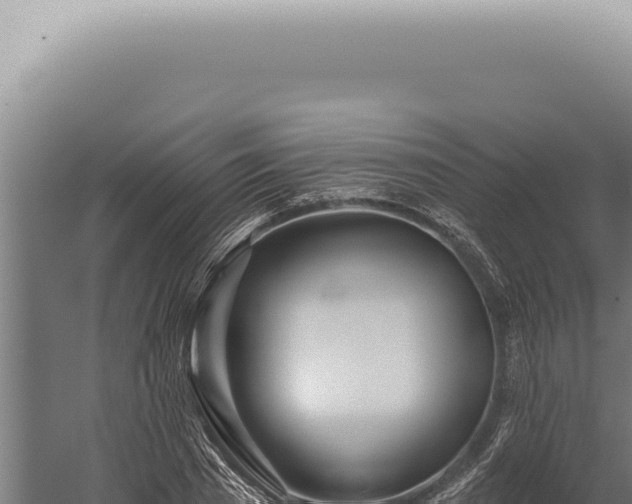 X0000059820785200510281730