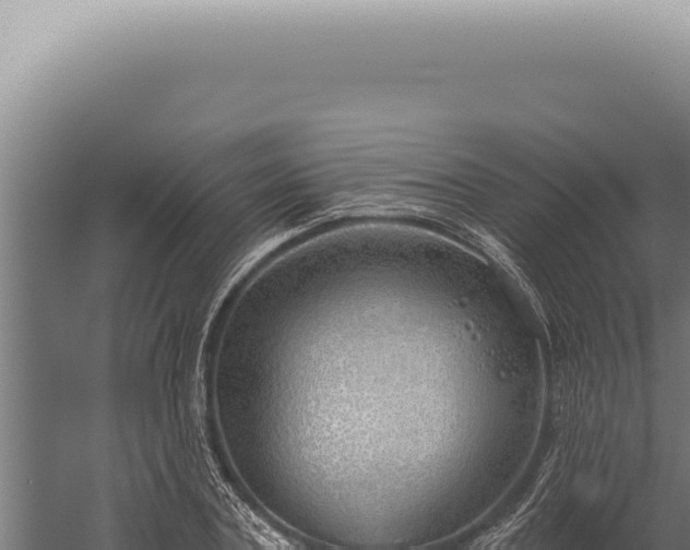 X0000059820787200510281730