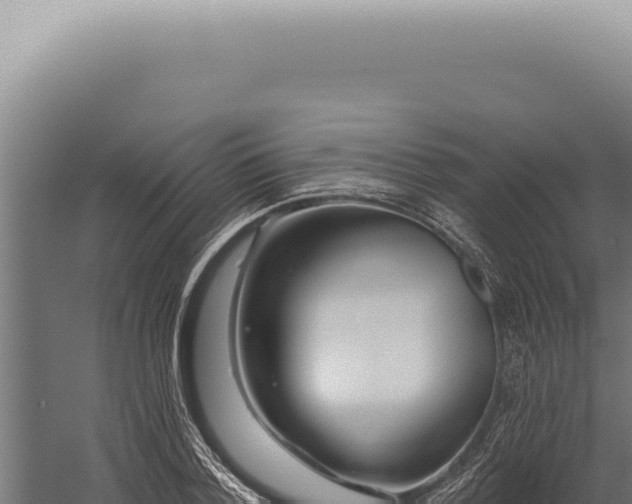 X0000059820788200510281730