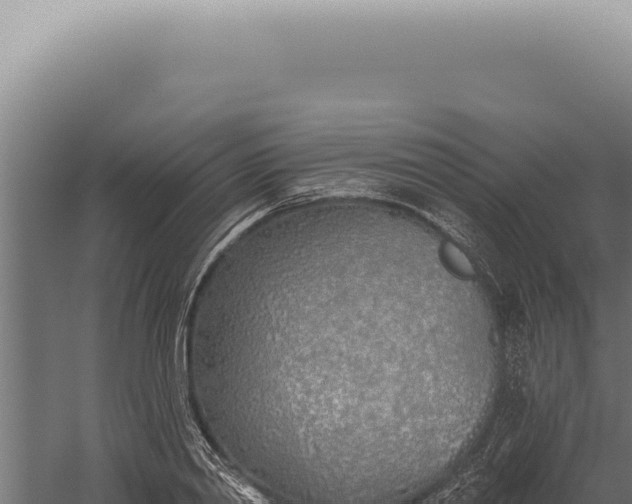 X0000059820790200510281730