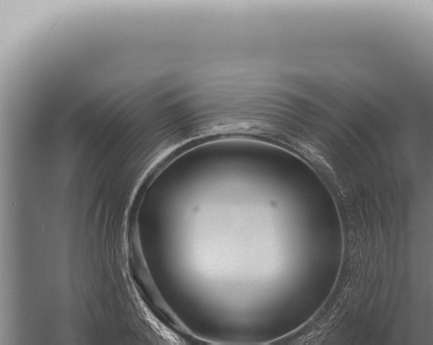 X0000059820792200510281730