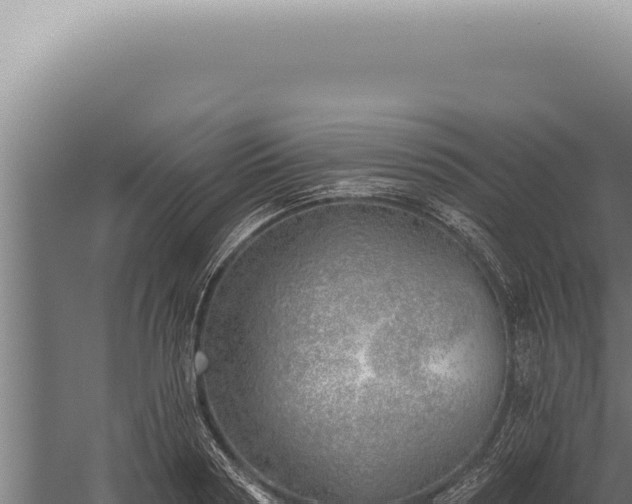 X0000059820794200510281730