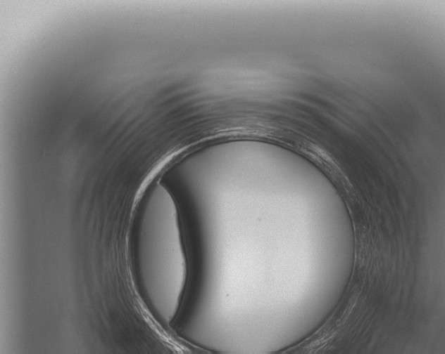 X0000059820796200510281730