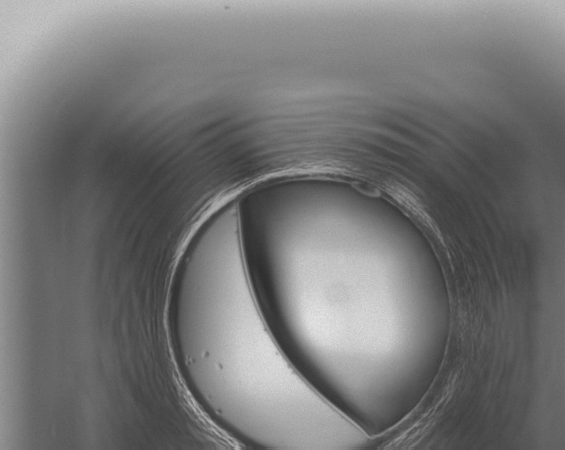 X0000059820797200510281730