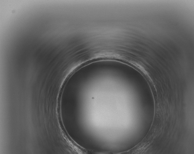 X0000059820799200510281730