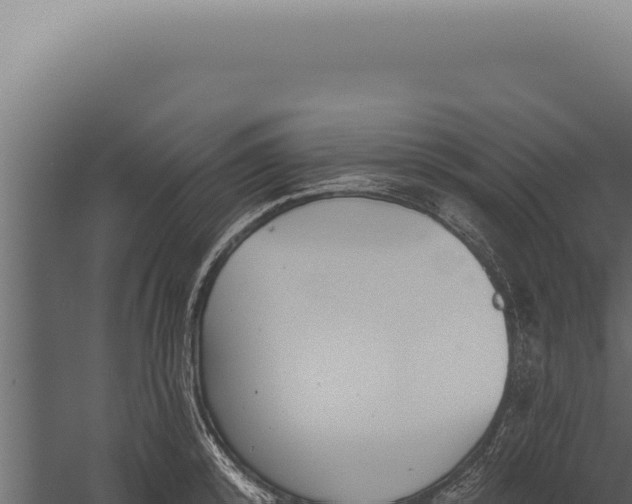 X0000059820800200510281730