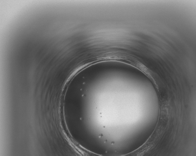 X0000059820803200510281730