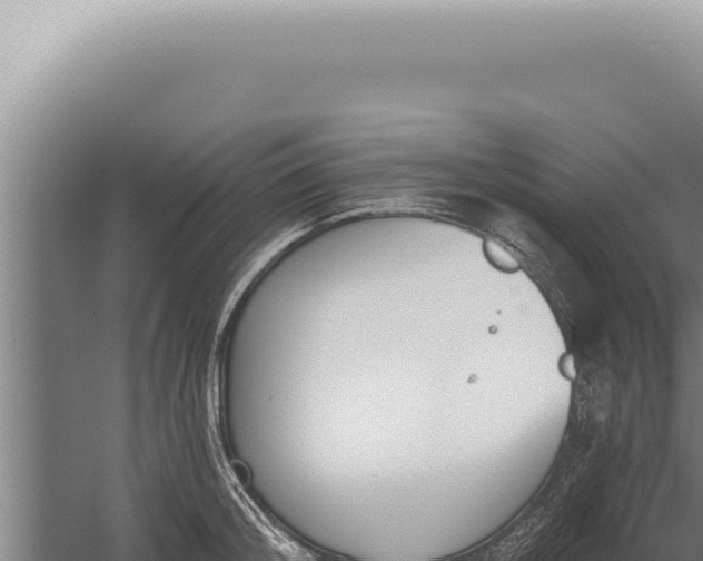 X0000059820804200510281730