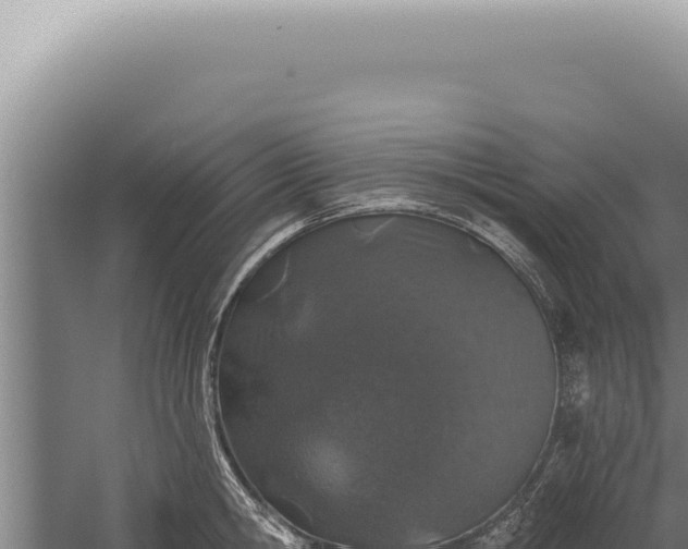 X0000059820806200510281730