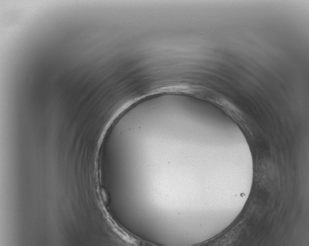 X0000059820808200510281730