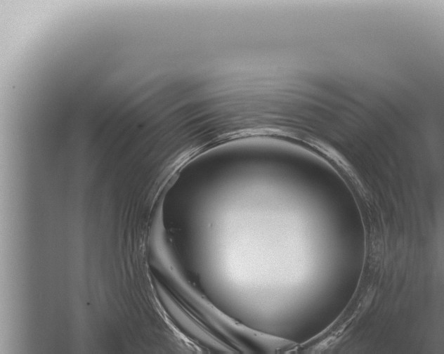 X0000059820809200510281730