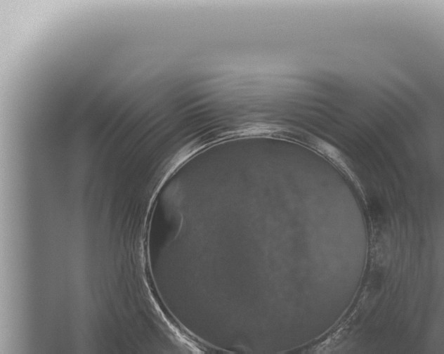 X0000059820810200510281730