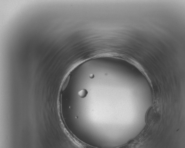 X0000059820811200510281730