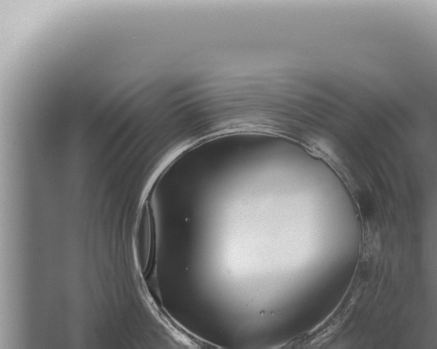 X0000059820812200510281730