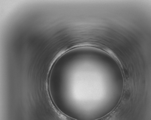 X0000059820813200510281730