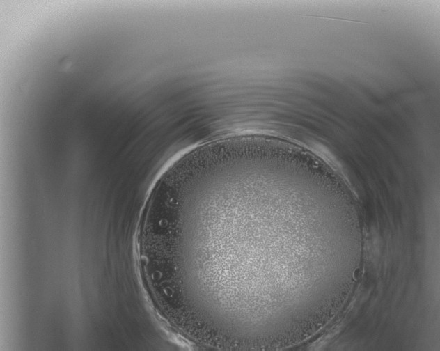 X0000059820814200510281730