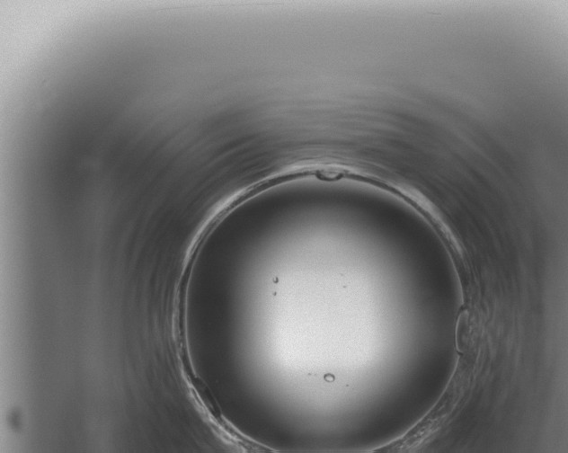 X0000059820815200510281730