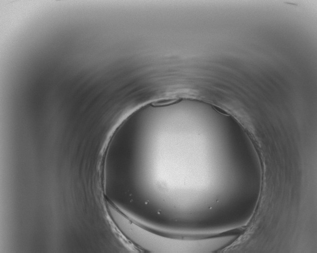 X0000059820816200510281730