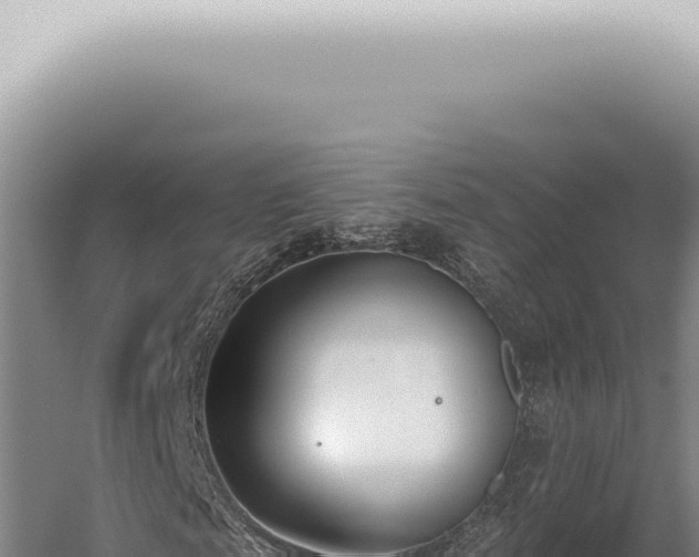 X0000059820817200510281729