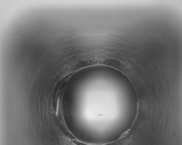 X0000059820818200510281729