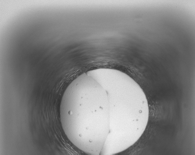 X0000059820820200510281729