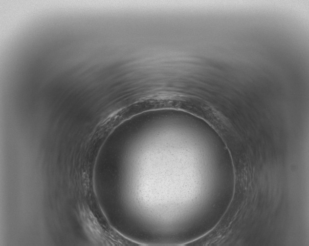 X0000059820821200510281729