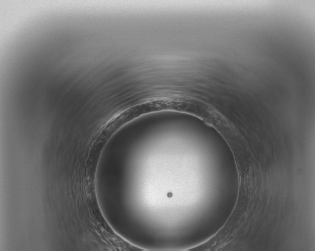 X0000059820822200510281729