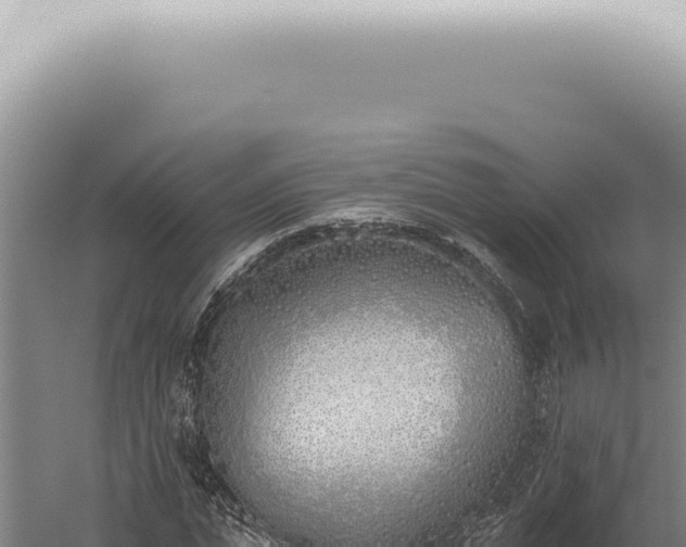 X0000059820823200510281729