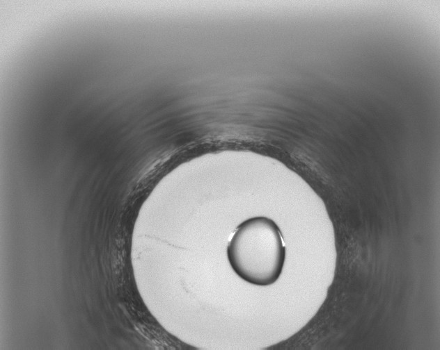 X0000059820824200510281729