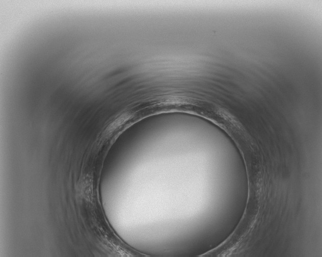 X0000059820825200510281729