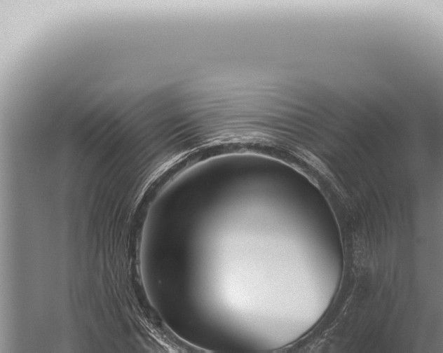 X0000059820826200510281729