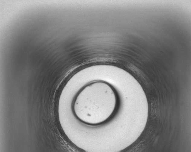 X0000059820828200510281729