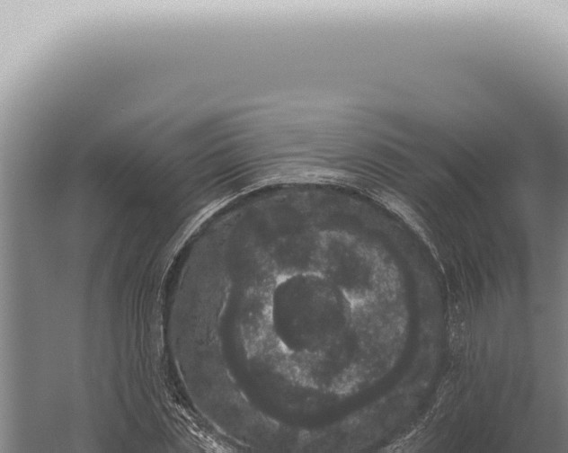 X0000059820829200510281729