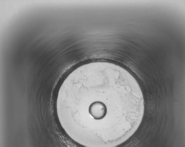 X0000059820832200510281729