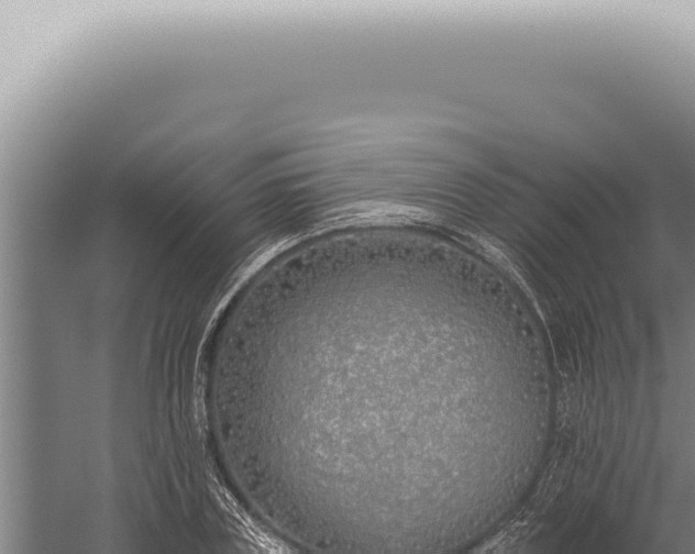 X0000059820835200510281729