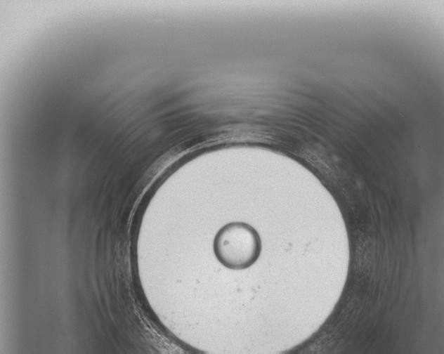 X0000059820836200510281729