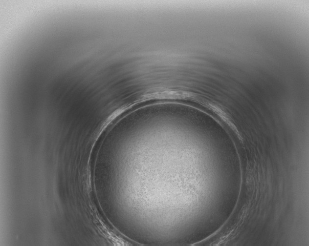 X0000059820837200510281729