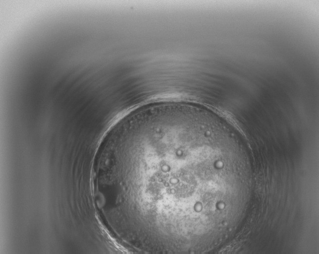 X0000059820839200510281729