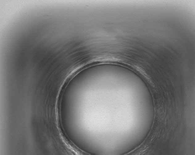 X0000059820840200510281729