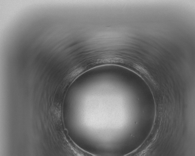 X0000059820841200510281729