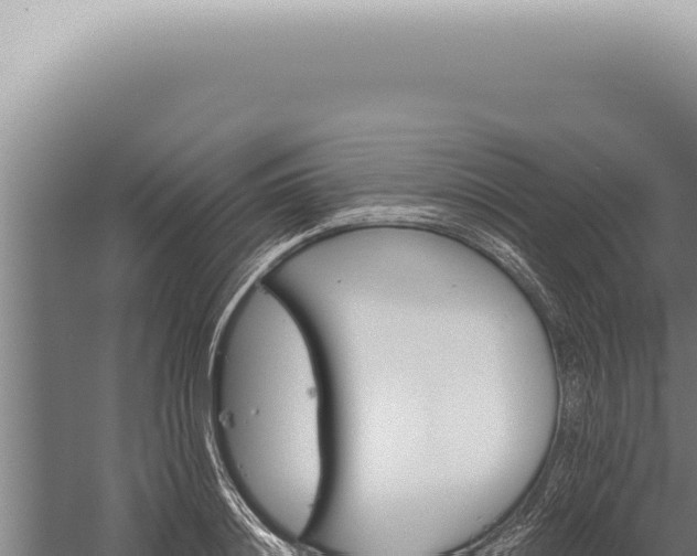 X0000059820844200510281729