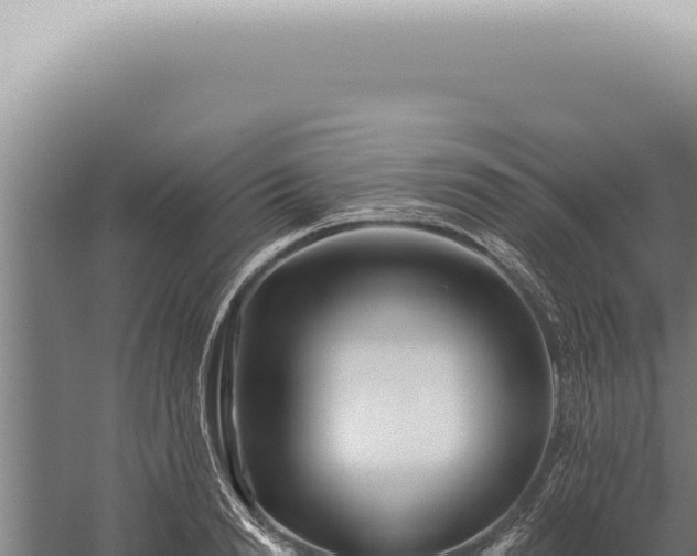 X0000059820846200510281729