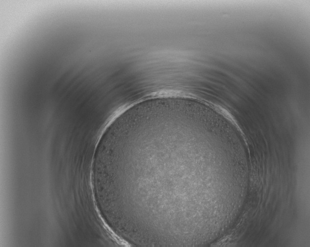 X0000059820847200510281729